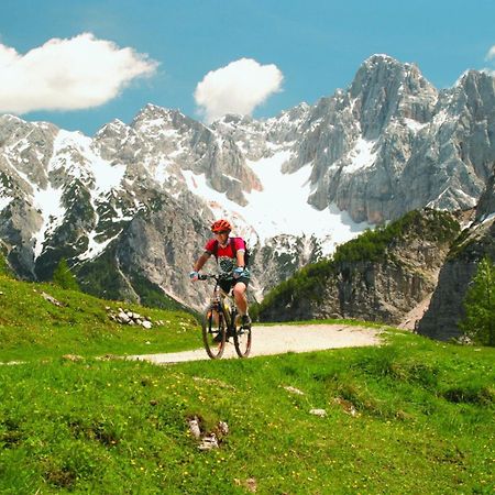 Apartma Gaja Kranjska Gora Zewnętrze zdjęcie