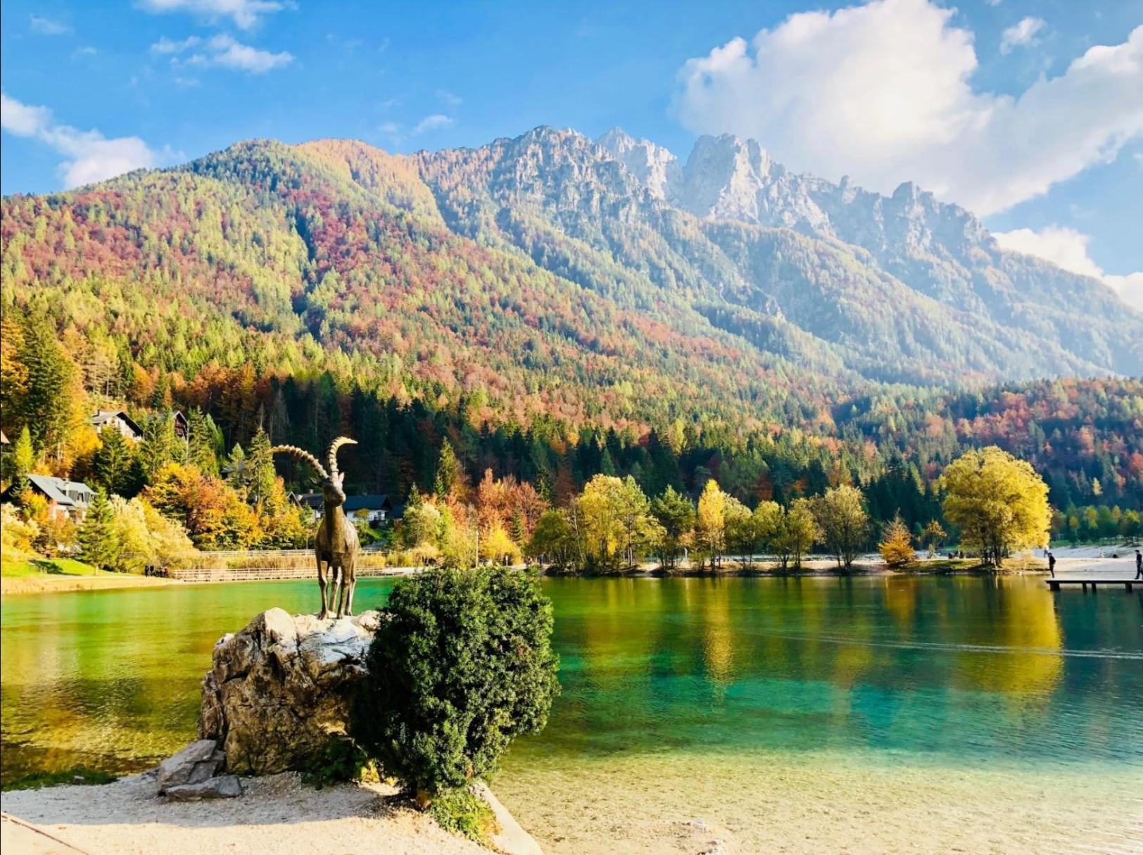 Apartma Gaja Kranjska Gora Zewnętrze zdjęcie